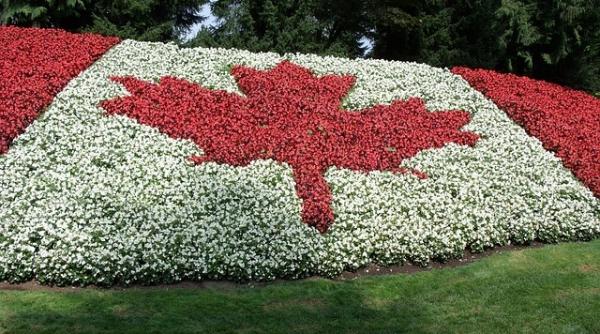 numarul cererilor de azil depuse in canada de la inceputul anului in crestere fata de 2018