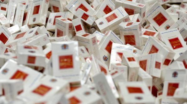 caini pusi sa ia urma contrabandistilor