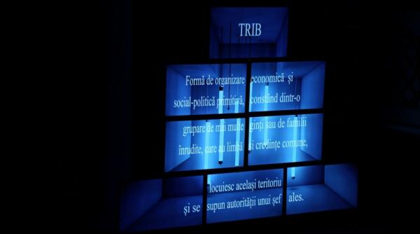 spectacolul triburi in regia lui vlad cristache la festivalul zile si nopti de teatru la braila