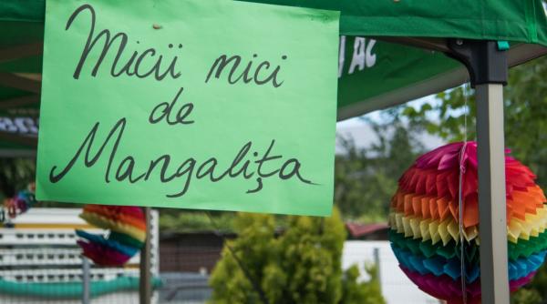 micii si sucul de mere din bolintin vale printre preferatele actorilor din serialul mangalita