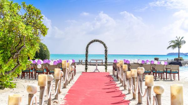 initiativa legislativa inedita casatoriile ar putea fi oficiate in gradini publice parcuri muzee si alte locuri in aer liber