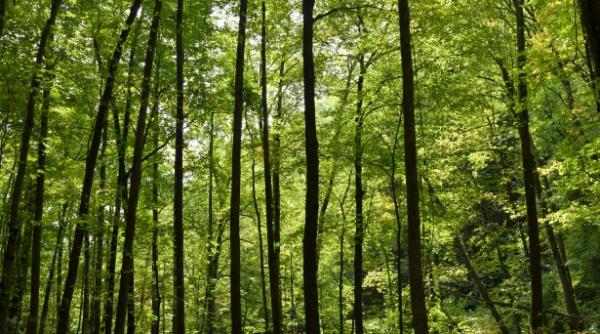 moarte suspecta intr un caz de spalare de bani de 200 de miliarde de dolari