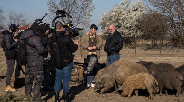 din culisele serialului de comedie mangalita