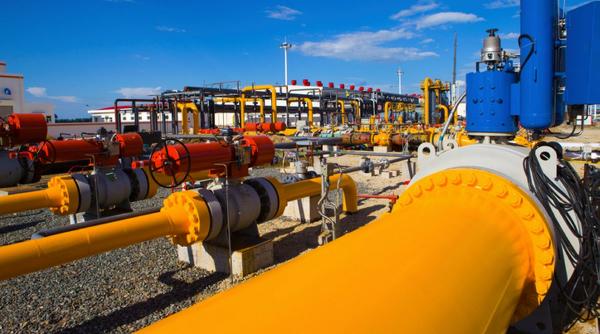 guvernul obligat sa re liberalizezee piata gazelor