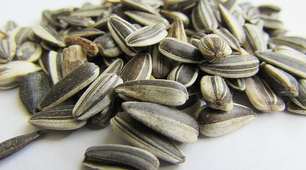 amenda uriasa pentru un barbat care scuipa coji de semnite pe jos