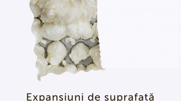 expozitia expansiuni de suprafata la centrul cultural palatele brancovenesti de la portile bucurestiului