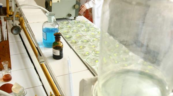 specializari noi la rezidentiat