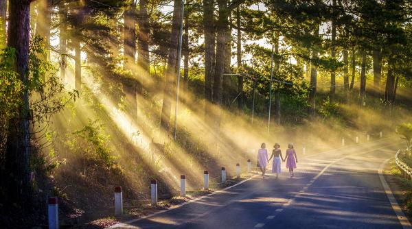 horoscop 7 octombrie 2019 iubirea vine ca un fel de balsam dupa o perioada grea