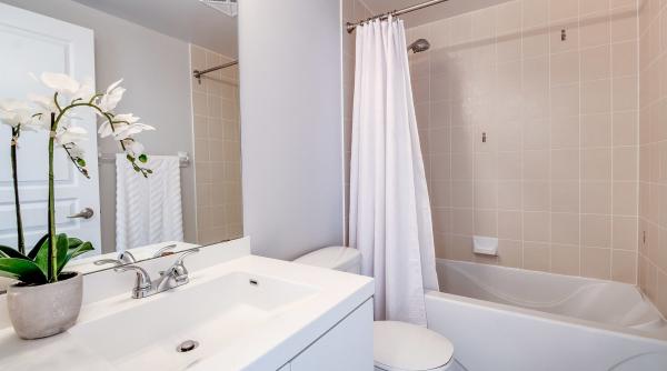 un studiu dezvaluie momentul cel mai potrivit pentru dus