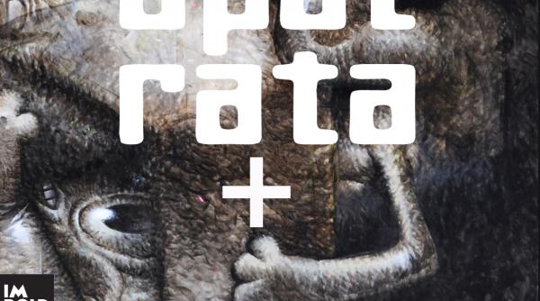 descopera expozitia un hidden romania x acuarela