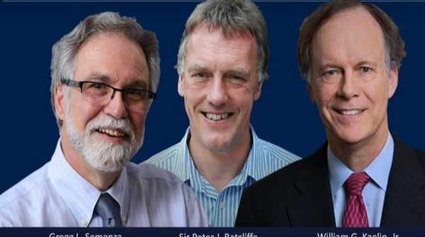 nobelul pentru medicina impartit de 3 cercetatori