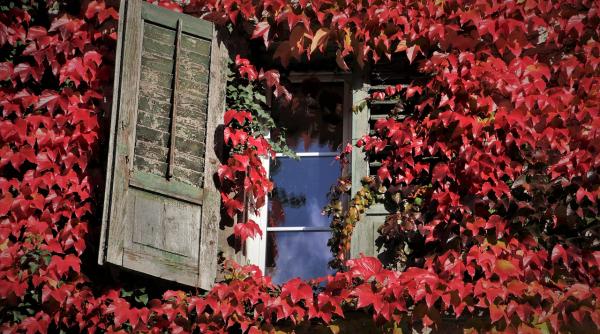 horoscop 15 octombrie 2019 e minunat sa ai in fata ta oameni care daruiesc cu inima deschisa tot ce stiu