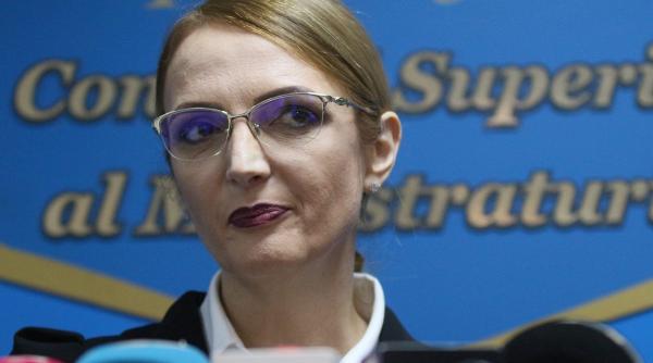 ana birchall acuzata oficial de csm de ingerinte in justitie si de subminare