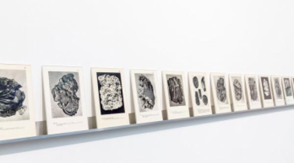 artisti romani in cadrul expozitiei imagined pasts la budapest galeria