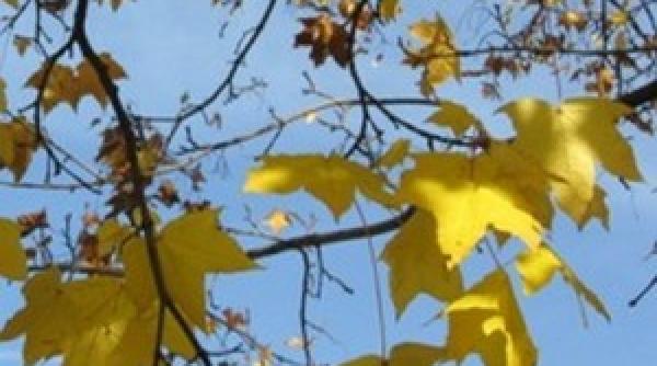 prognoza meteo pentru 30 1 2 si 3 octombrie vreme rece