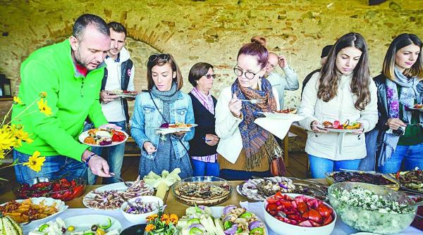 destinatia de ecoturism colinele transilvaniei