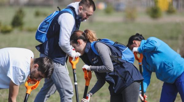 atentie se planteaza