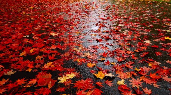 prognoza meteo pentru 7 8 9 si 10 noiembrie vreme calda