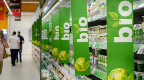 planta cu doua fete o investitie de succes in romania