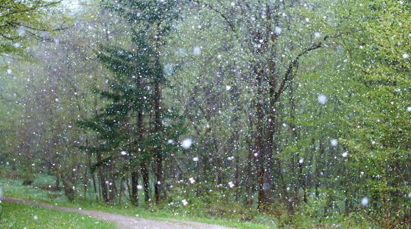 prognoza meteo pentru noiembrie spre sfarsitul lunii apar lapovita si ninsoarea