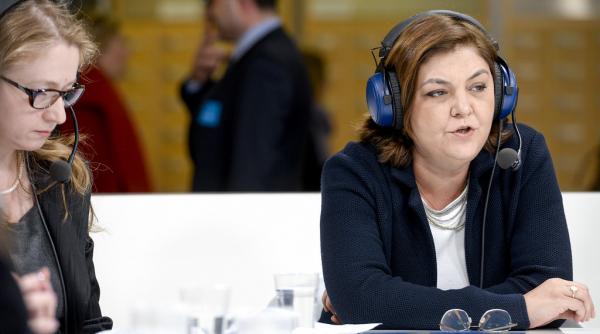 adina valean audiata in comisiile de specialitate marti la ora 11 00
