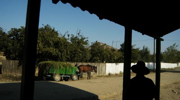 bulgaria ne devanseaza in clasamentul indicelui de progres social 2019