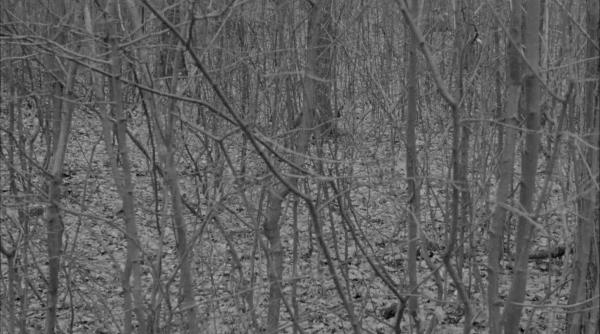 premiera documentarului abis de matei bejenaru la wasp working art space and production