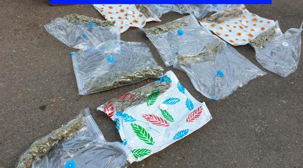 traficanti de droguri prinsi in flagrant in timp ce tranzactionau aproape doua kilograme de cannabis