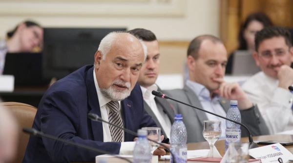 vosganian dancila nu se califica iar iohannis se descalifica