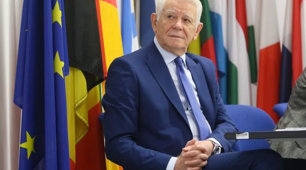 melescanu reclama la ccr o eventuala culpa a parlamentului