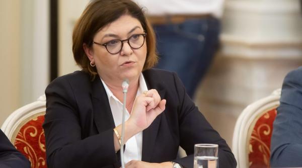 adina valean facuta praf in comisia pentru mediu din parlamentul european