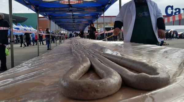 carnati toros si mititei record la festivalul d ale porcului