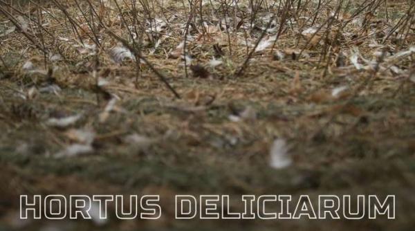 expozitia hortus deliciarum a artistei maria victoria zidaru