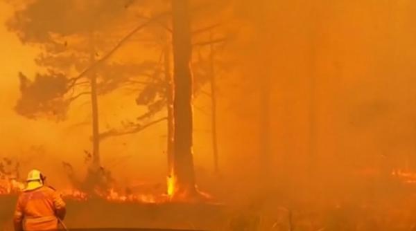 incendii devastatoare in australia un nor toxic a invaluit capitala