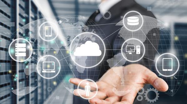 vanzari record pe piata autohtona de software si servicii digitale