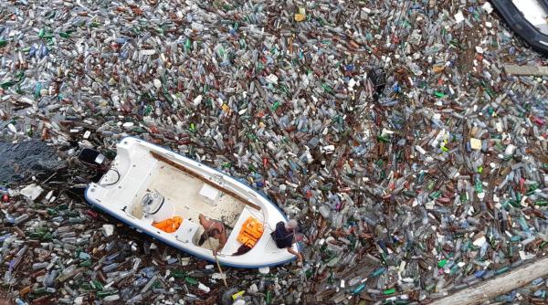 cat plastic ajunge in organismul nostru in fiecare saptamana