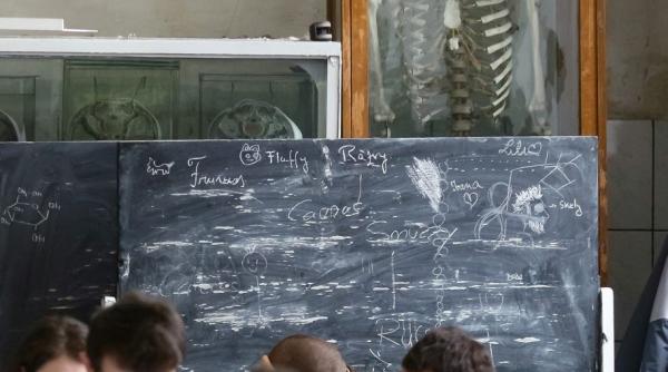 concurenta mare la rezidentiat