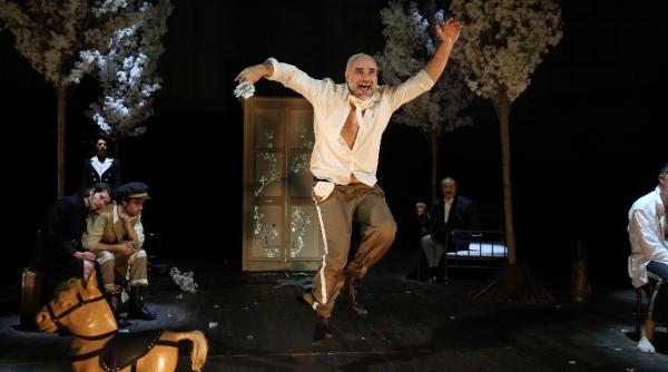 reintalnire cu shakespeare cehov si david doiashvili la tnb