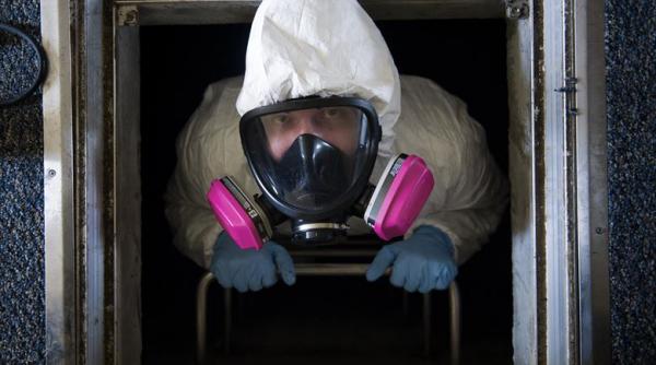 nereguli gasite la mai multe firme de deratizare din covasna