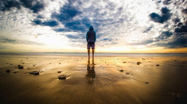 mii de pesti penis au esuat pe o plaja din california