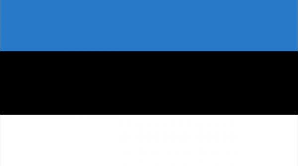 presedinta estoniei a prezentat scuze dupa ce un ministru a prezentat o pe sefa guvernului finlandei drept o vanzatoare