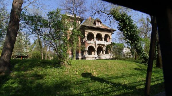 unda verde la constructii in curtea pnl