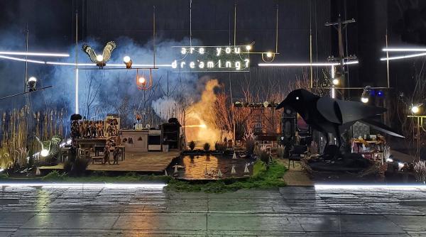 spectacolul casa cu suricate vine la teatrul national bucuresti