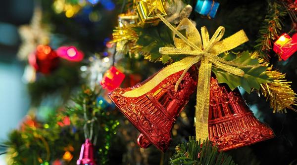 primaria sectorului 6 recicleaza brazii naturali aruncati dupa sarbatori