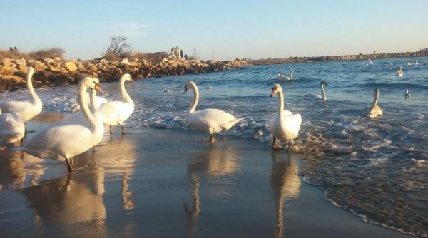 excursii pe malul marii negre