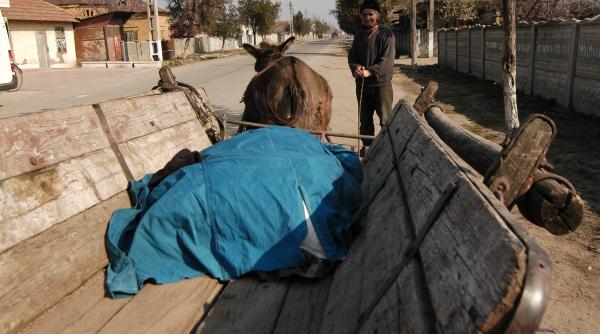 fmi ne invata cum sa evitam criza protejati consumatorii vulnerabili