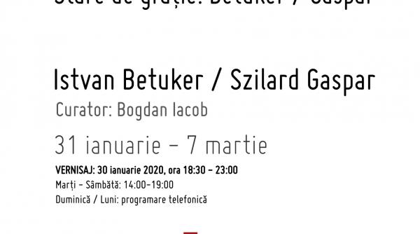 la intersectia dintre pictura sculptura si performance art duo show ul stare de gratie betuker gaspar deschide programul curatorial al galeriei sector 1 in 2020