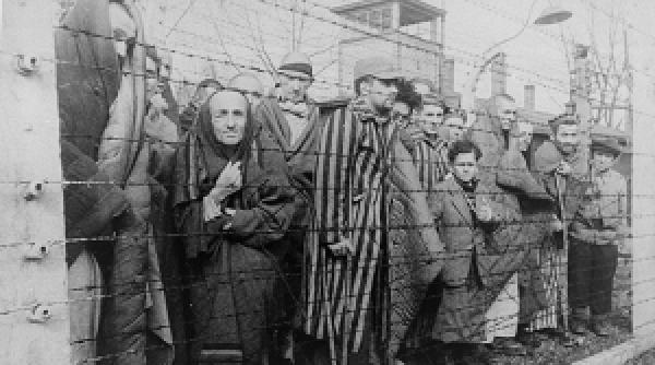 ziua internationala a memoriei holocaustului deformarea imaginii celuilalt