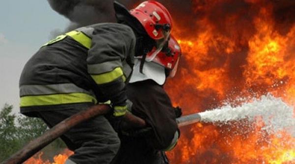 aproape 25 de hectare de vegetatie uscata si stuf incendiate