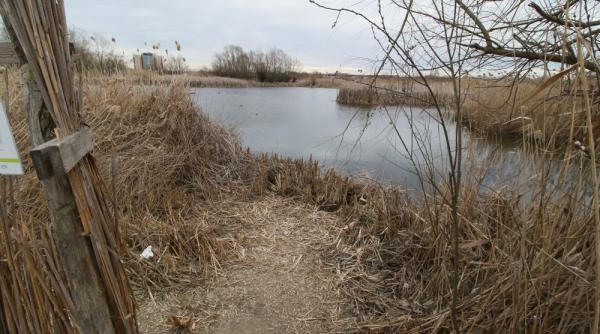 protocol de colaborare la vacaresti